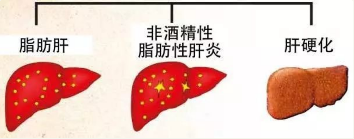 1545722712(1).png