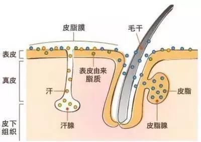 微信图片_20190711111619.jpg